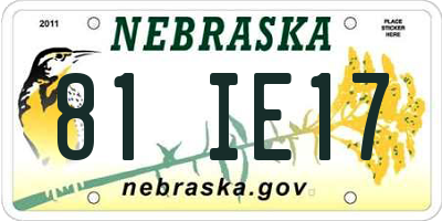 NE license plate 81IE17