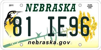 NE license plate 81IE96