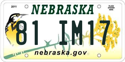 NE license plate 81IM17
