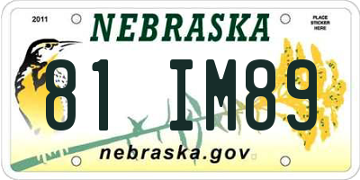 NE license plate 81IM89