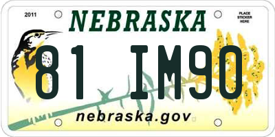 NE license plate 81IM90