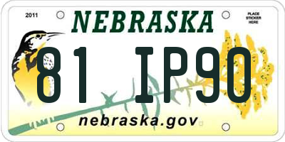 NE license plate 81IP90