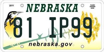 NE license plate 81IP99