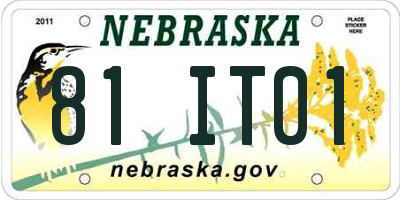 NE license plate 81IT01