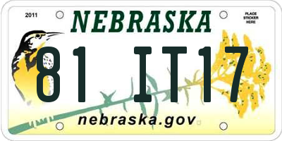 NE license plate 81IT17