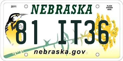 NE license plate 81IT36
