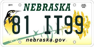 NE license plate 81IT99