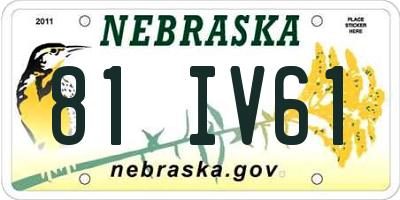 NE license plate 81IV61