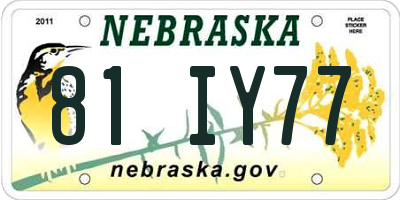 NE license plate 81IY77