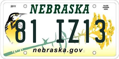 NE license plate 81IZ13