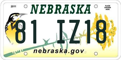 NE license plate 81IZ18