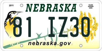 NE license plate 81IZ30