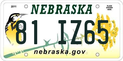 NE license plate 81IZ65