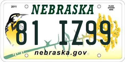 NE license plate 81IZ99