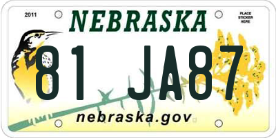 NE license plate 81JA87