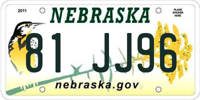 NE license plate 81JJ96