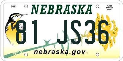 NE license plate 81JS36