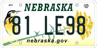 NE license plate 81LE98