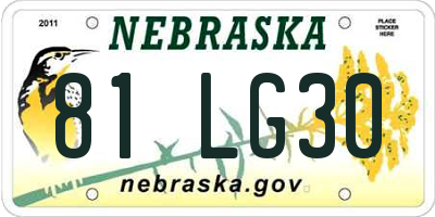 NE license plate 81LG30