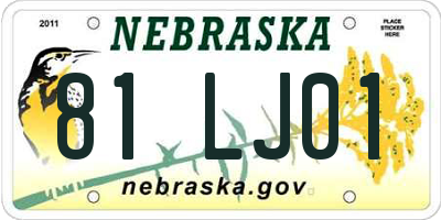 NE license plate 81LJ01