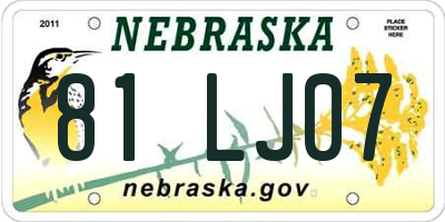 NE license plate 81LJ07