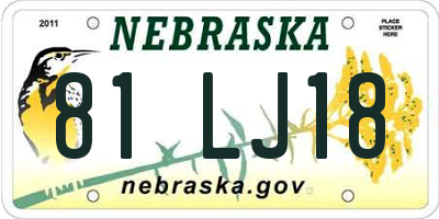 NE license plate 81LJ18