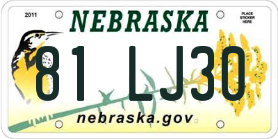 NE license plate 81LJ30