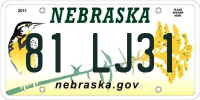 NE license plate 81LJ31