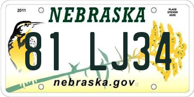 NE license plate 81LJ34