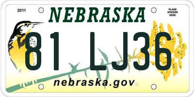 NE license plate 81LJ36