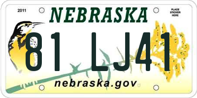 NE license plate 81LJ41