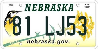 NE license plate 81LJ53