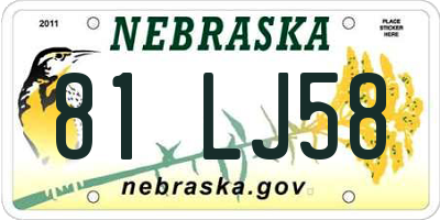 NE license plate 81LJ58