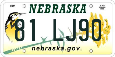 NE license plate 81LJ90