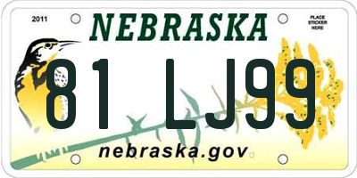 NE license plate 81LJ99