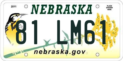NE license plate 81LM61