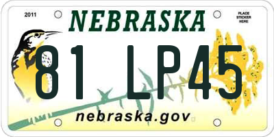 NE license plate 81LP45