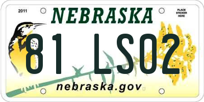 NE license plate 81LS02