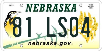 NE license plate 81LS04