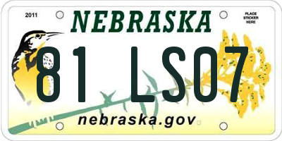 NE license plate 81LS07