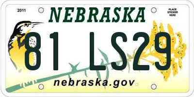 NE license plate 81LS29