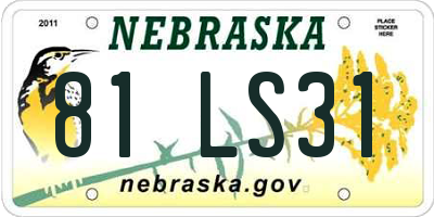 NE license plate 81LS31