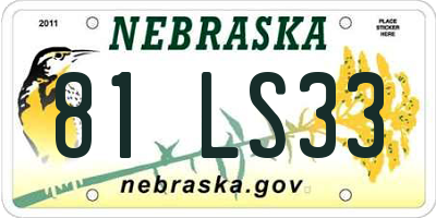 NE license plate 81LS33