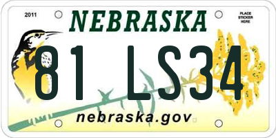 NE license plate 81LS34