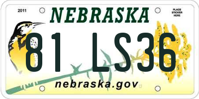 NE license plate 81LS36