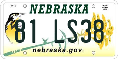 NE license plate 81LS38