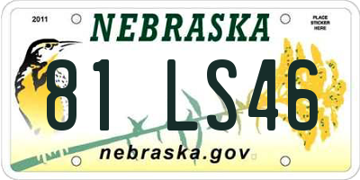 NE license plate 81LS46