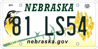 NE license plate 81LS54