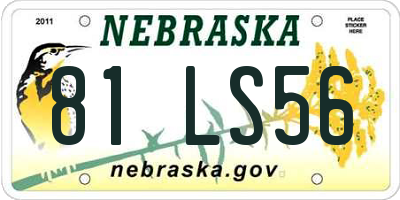 NE license plate 81LS56