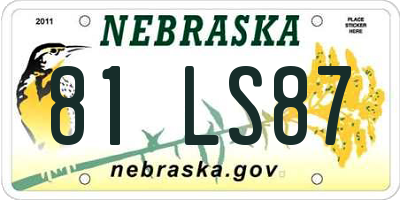 NE license plate 81LS87